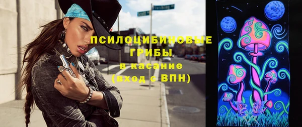 дживик Магас